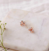 Rose Gold Tristar Zircon Studs (Earrings) Dhanaza