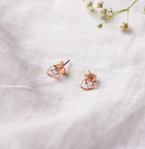 Rose Gold Zircon Shield Studs (Earrings) Dhanaza