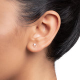 Rose Gold Zircon Shield Studs (Earrings) Dhanaza